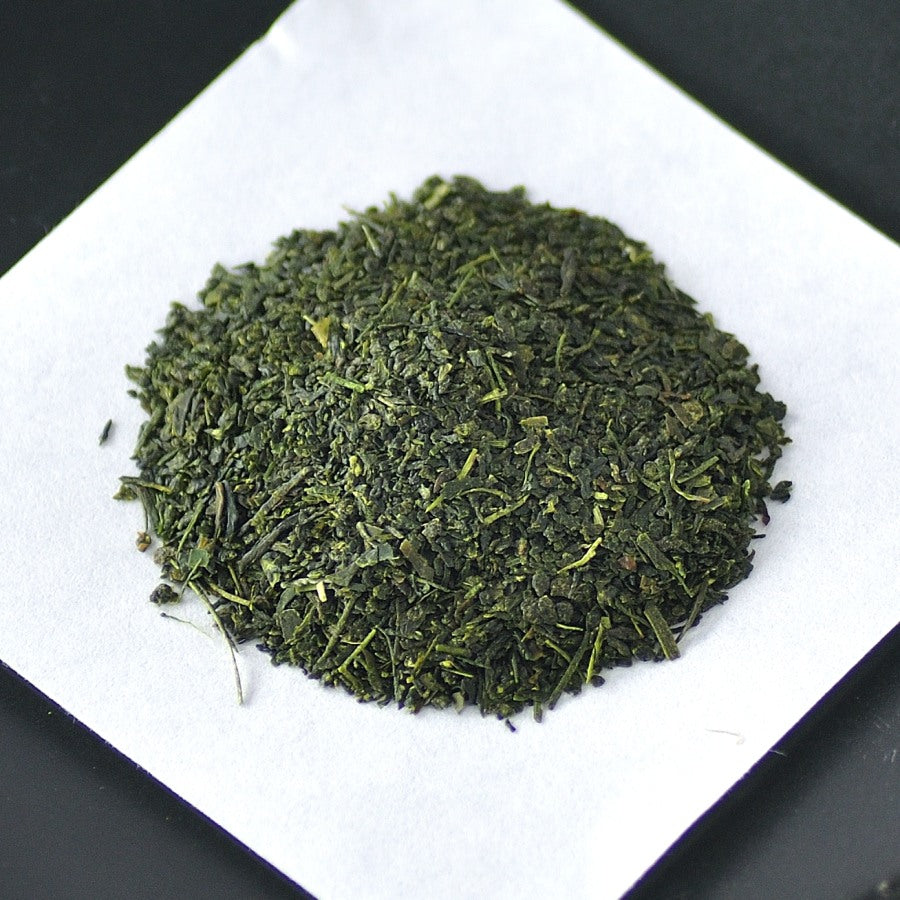 春の使者の訪れ 「春の芽ざめ」※2/1より販売開始します