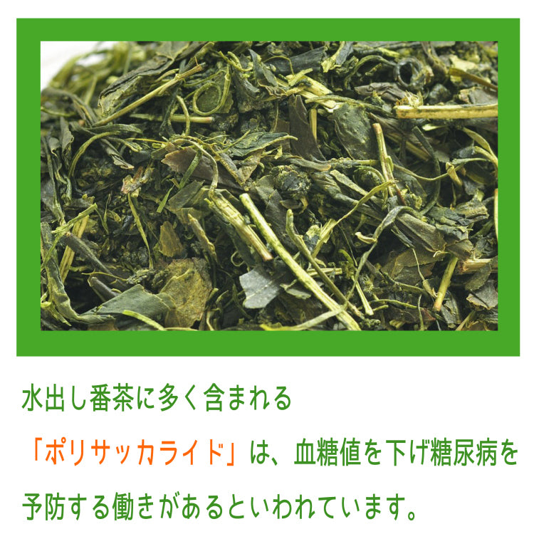 「お茶専門店の水出し健康美人茶」 Redutea(リデューティー)(静岡県大井川流域産) 茶葉 ティーバッグ 10g×10個