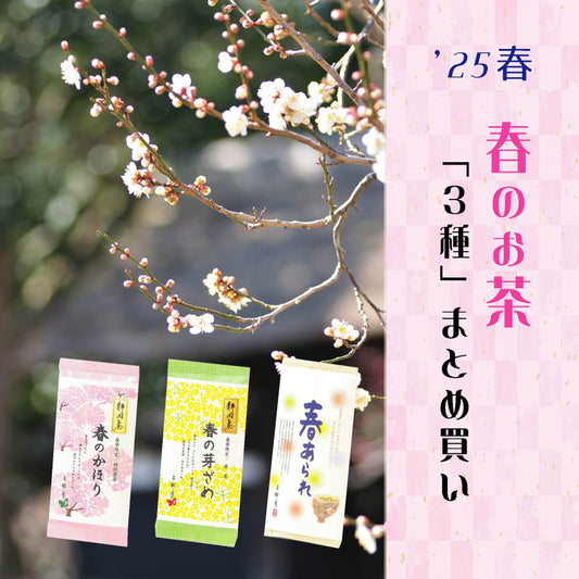 ①【春のお茶】三種3本セット　1/31までの期間限定セール！！※2/1からの発送となります